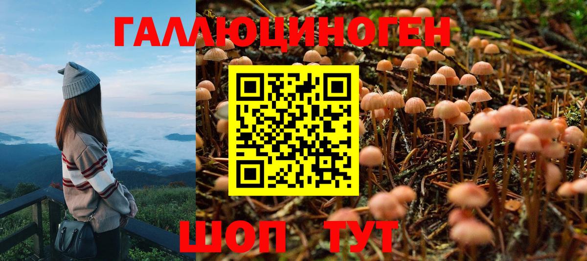 Галлюциногенные грибы Psilocybine cubensis  Вход с VPN  Добрянка  Псилоцибиновые грибы мицелий 